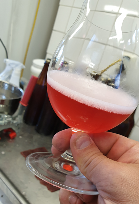 Kombucha